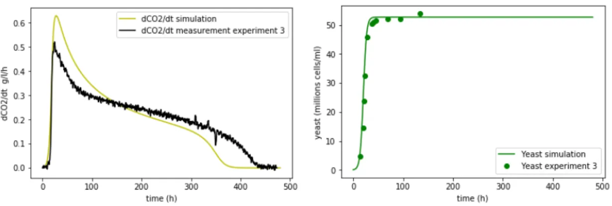 Figure 1.5: Rate production and yeast simulation of the third experiment with N init = 0.07 g/l without nitrogen addition.