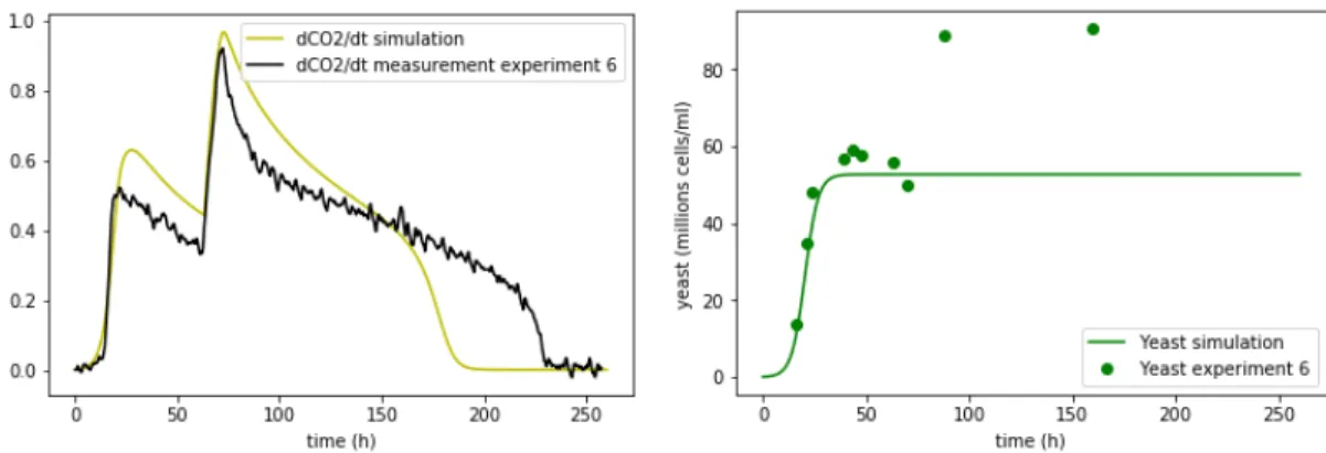 Figure 1.8: Rate production and yeast simulation of the sixth experiment with N init = 0.17 g/l and N add = 0.063 g/l at the instant t = 63.11 h.