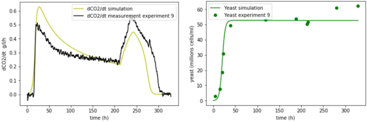 Figure 1.11: Rate production and yeast simulation of the nineth experiment with N init = 0.17 g/l and N add = 0.063 g/l at the instant t = 212.63 h.