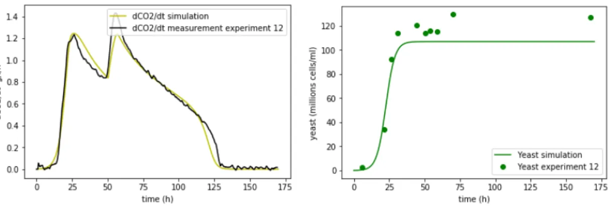 Figure 1.14: Rate production and yeast simulation of the twelfth experiment with N init = 0.17 g/l and N add = 0.063 g/l at the instant t = 50.31 h.