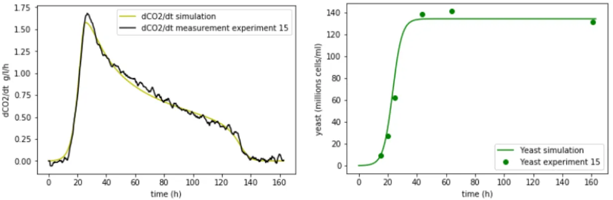 Figure 1.17: Rate production and yeast simulation of the fifteenth experiment with N init = 0.17 g/l and N add = 0.063 g/l at the instant t = 0 h.