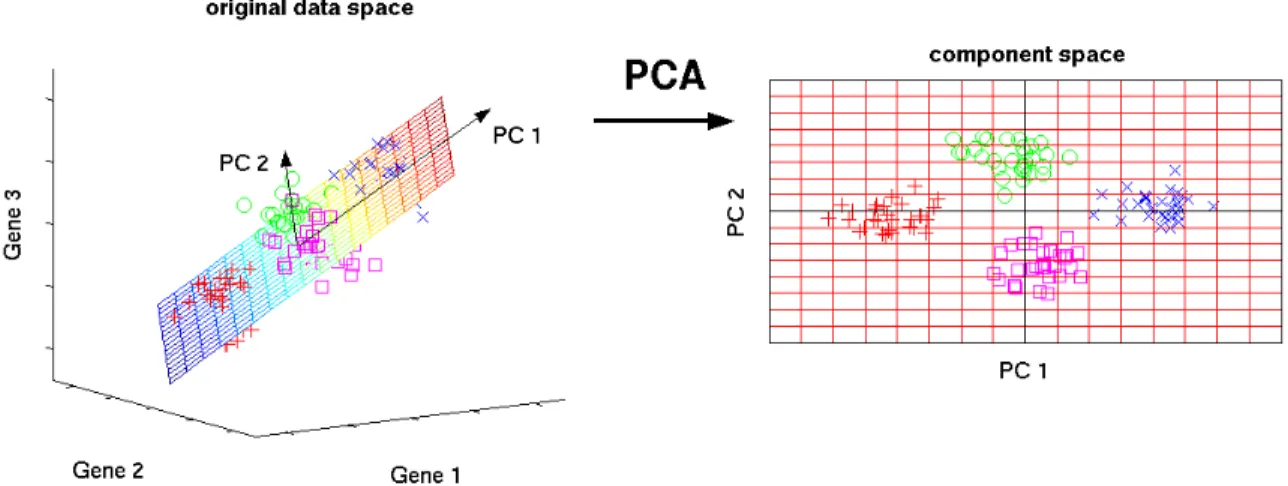 Figure 2.8: An example of how principal component analysis works.
