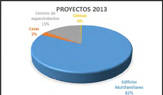 Gráfico n° 6: Tipos de Proyectos ejecutados con polipropileno en el año 2013 