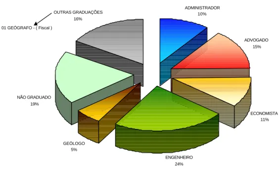Gráfico 10 - Perfil de Formação 