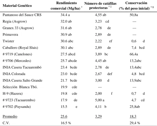 Cuadro 1. Rendimiento comercial, número de catáfilas protectoras y conservación poscosecha de algunas poblaciones locales de cebolla, en comparación con cultivares nacionales e introducidos.