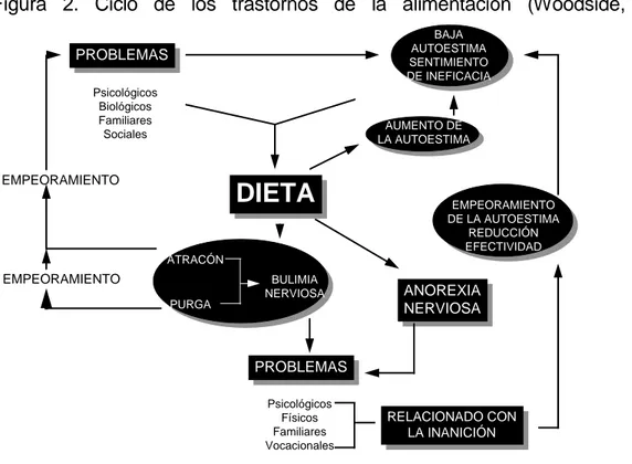 Figura  2.  Ciclo  de  los  trastornos  de  la  alimentación  (Woodside,  1993). Psicológicos Físicos Familiares VocacionalesEMPEORAMIENTOPROBLEMASPsicológicosBiológicosFamiliaresSociales ANOREXIANERVIOSA RELACIONADO CONLA INANICIÓNPROBLEMASEMPEORAMIENTODI