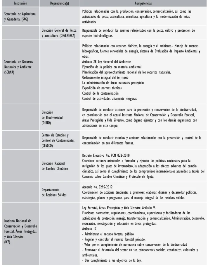 Cuadro sobre el Marco Institucional y Competencia