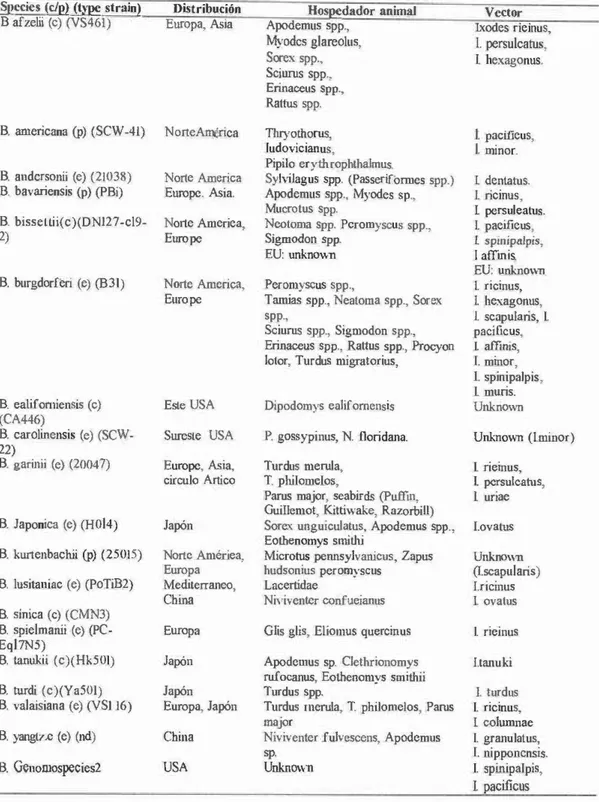 Tabla  4.  Gmpos  de  espiroquetas  causantes  de  la  enfermedad  de  Lyme,  su  distribución  geográfica, hospedador animal  y vectores  (Margos, 2 0 1 1 ) 