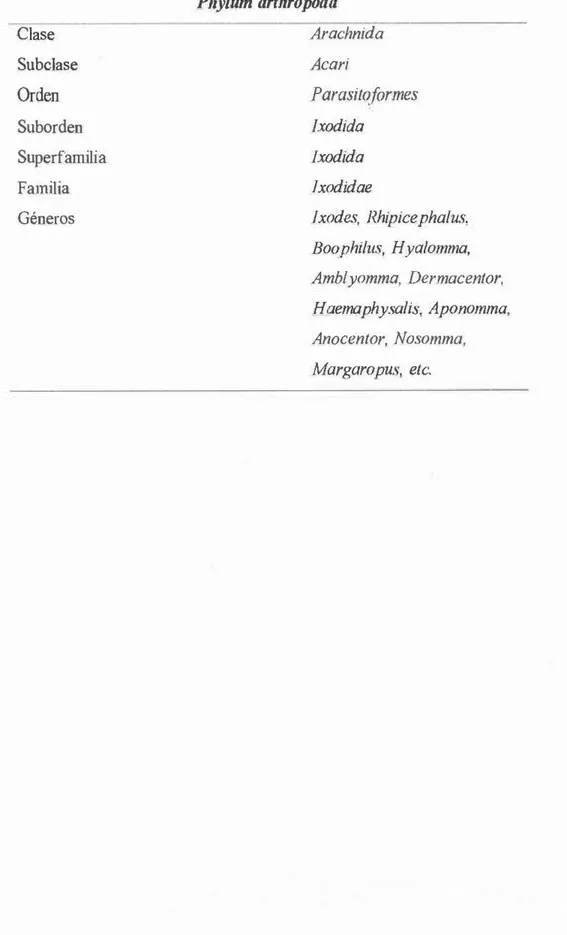 Tabla  5.Clasificación taxonómica de  la  familia Jxodidae  (Caride, 2002;  Villamil, 2002)