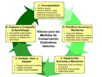Figura 1: Esquema de los estándares abiertos para la práctica de la conservación 