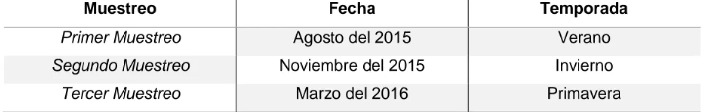 Tabla 3. Fechas de los muestreos. 