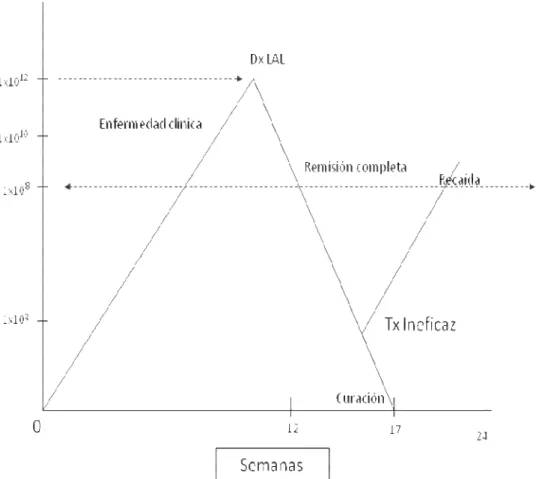 Figura 3. Volumen tumoral y su evolución en el paciente con leucemia. 