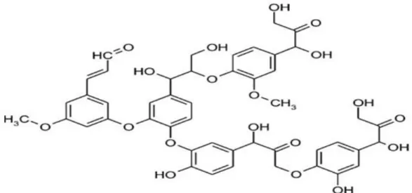 Figura 3. Estructura de lignina. 