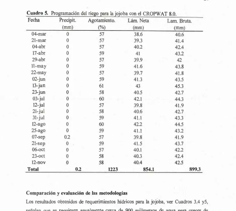Cuadro  5.  Programación del  riego eara  la  jojoba con el  CROPWAT 8.0. 