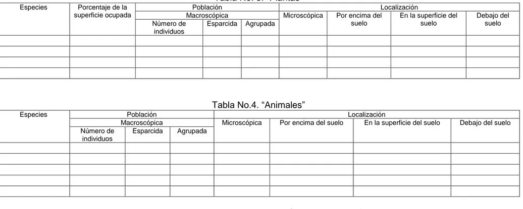 Tabla No.4. “Animales” 