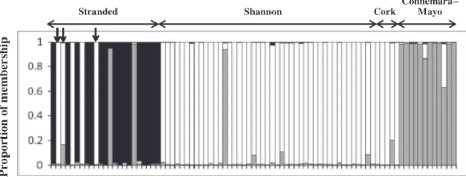Figure 2 Proportion of each individual genotype (vertical bars) assigned to cluster one (black), cluster two (white) and cluster three (grey), using
