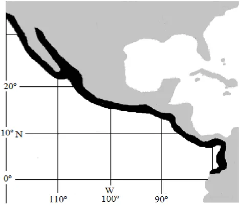 Figura 3. Distribución de Callinectes arcuatus (Fuente: FAO, 2004). 