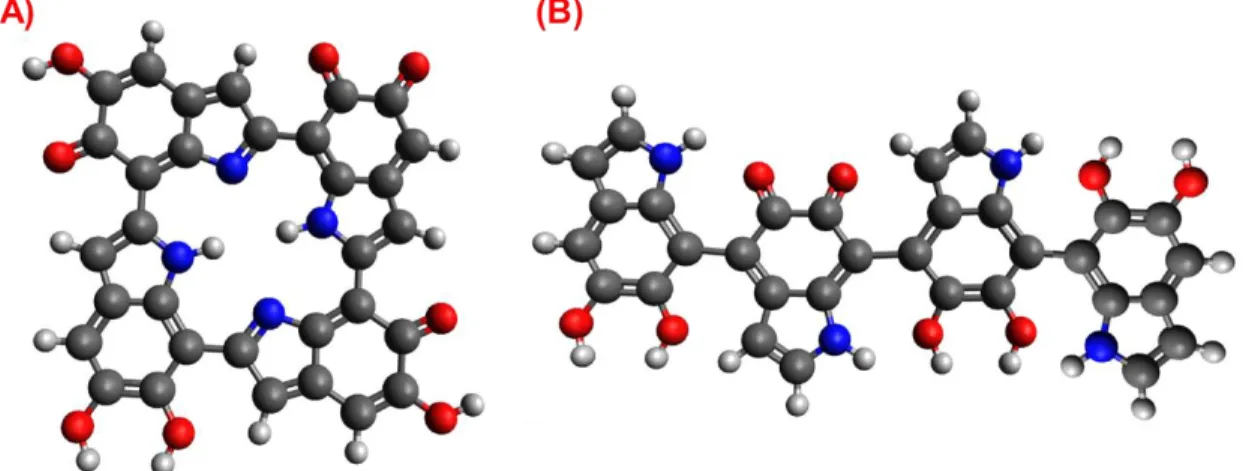 Figure 6. Representation of PDA structure models; A) cyclic, B) noncyclic. Atoms  color: Black, blue, red, and white for Carbon, Nitrogen, Oxygen, and Hydrogen, 