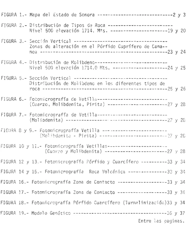 FIGURA  1.-  Mapa  del  Estado  de  Sonora  -----------------------------2  y  3  FIGURA  2.-  Distribución de  Tipos  de  Roca------------------------- 