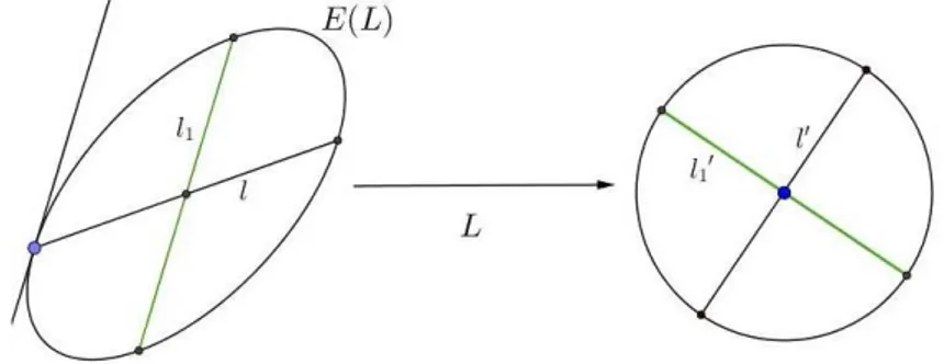 Figura 3.1: El di´ametro conjugado del di´ametro l es l1 y l ′ es la imagen bajo L de l