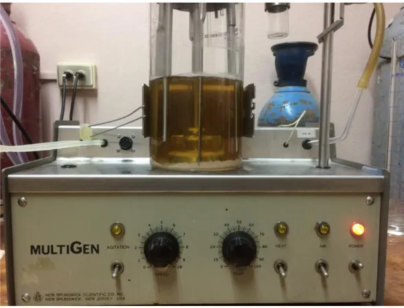 Figura 8 Biorreactor MultiGen New Brunswick alimentado con el medio de  fermentación. 