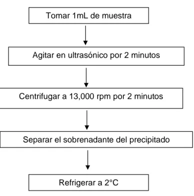 Figura 10 Diagrama de flujo de los muestreos realizados para  monitorear la fermentación 