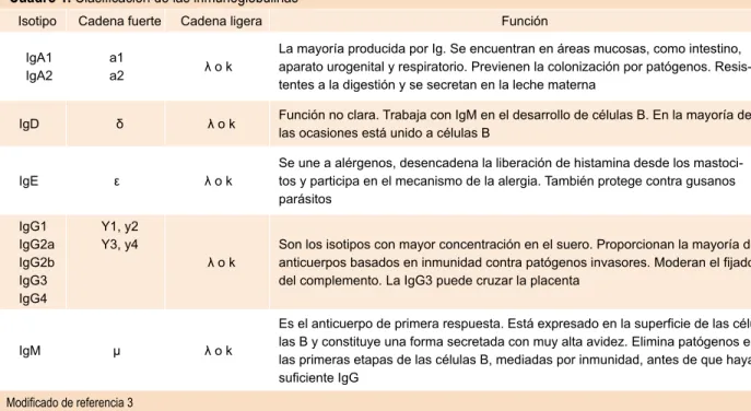 Cuadro 1. Clasificación de las inmunoglobulinas