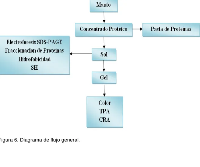 Figura 6. Diagrama de flujo general. 