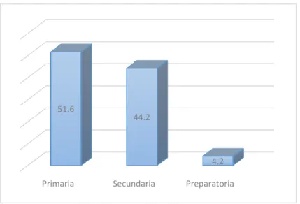 Figura 9. Nivel de escolaridad 