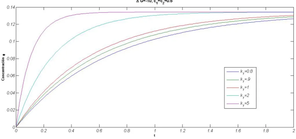 Figura 2.2: Ejemplo de posibles comportamientos de la concentración como función del tiempo para una medición de actividad dada.