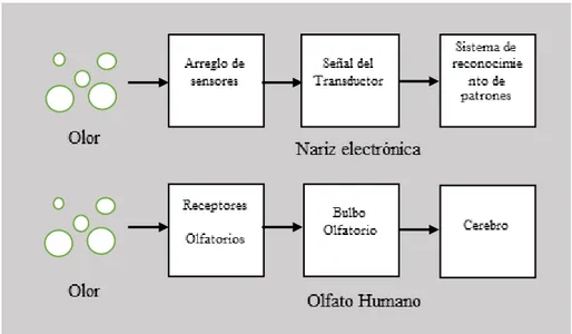 Figura 1. Arreglo general de una nariz electrónica.