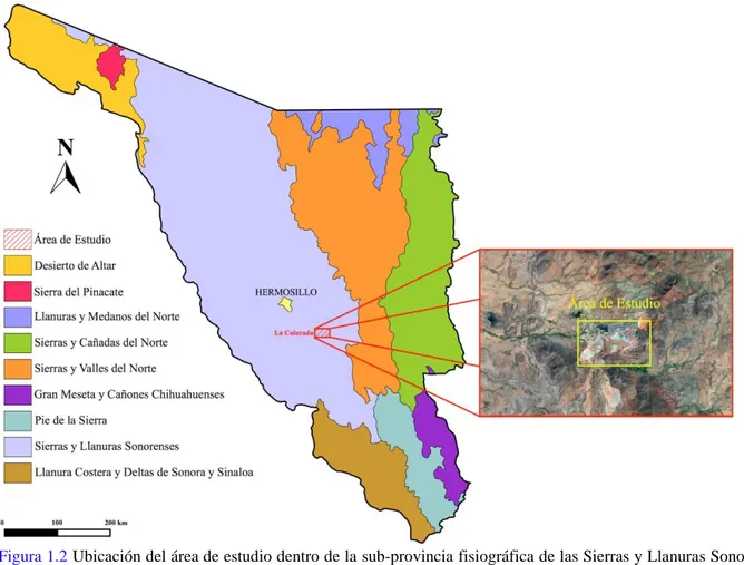 Figura 1.2 Ubicación del área de estudio dentro de la sub-provincia fisiográfica de las Sierras y Llanuras Sonorense  (modificado de INEGI, 2001).