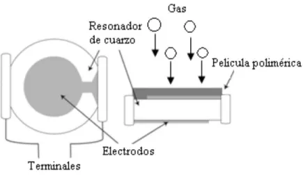 Figura 4. Diagrama de funcionamiento del cristal atrapando las partículas de gas. [6] 