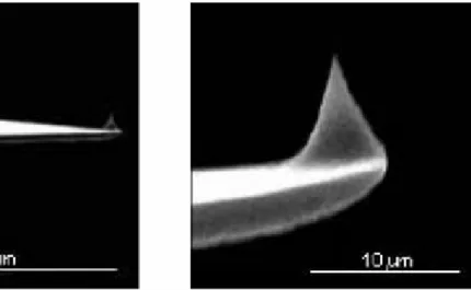 Figura 11. Imagen de un cantiléver con punta de prueba Triangular 