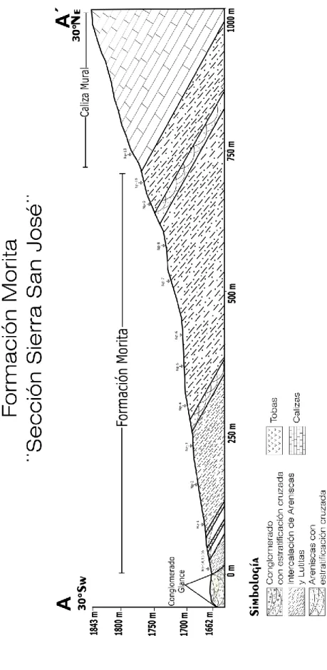 Figura 7. Sección geológica  de la Sierra San José. 