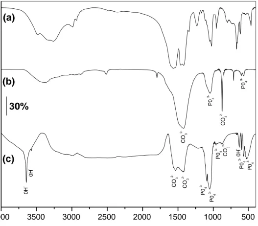 Figura 16. Espectros FT-IR para el  xerogel formulado para producir hidroxiapatita pura, a  partir de acetato de calcio y trietil fosfatos inmersos en agua, tratados térmicamente hasta  