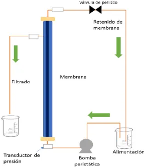 Figura 12. Diagrama de distribución de fluidos del sistema de microfiltración de flujo tangencial experimental