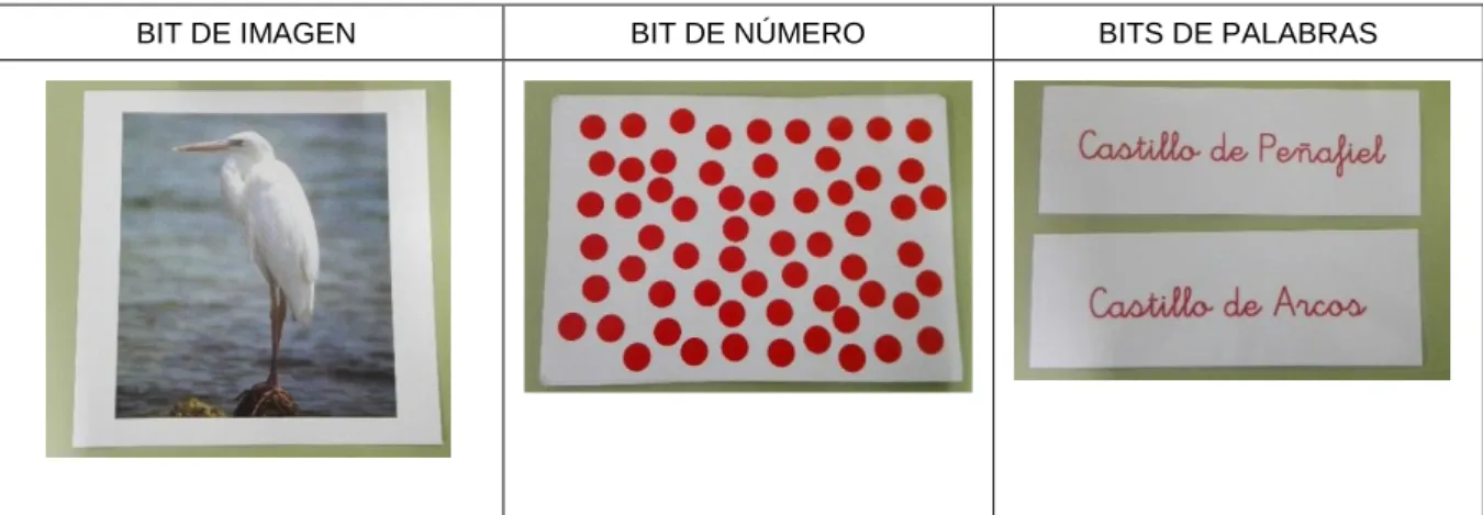 Tabla 2.6. Tipos de bits de inteligencia  