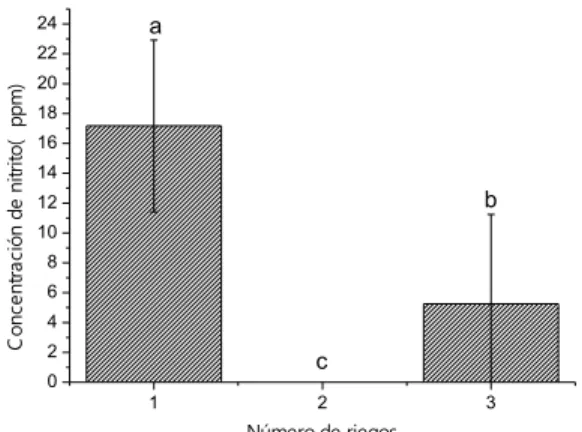 Figura 9. Efecto del número de riegos sobre la concentración de nitrito lixiviado en suelo del  Valle del Yaqui
