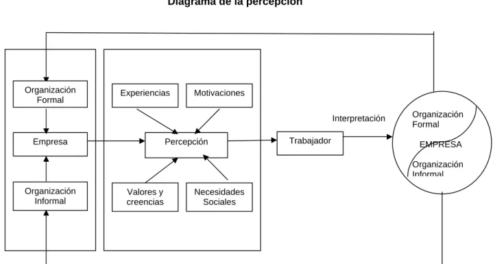 Figura 4  Diagrama de la percepción                                                                                     Interpretación                                                                                                                          