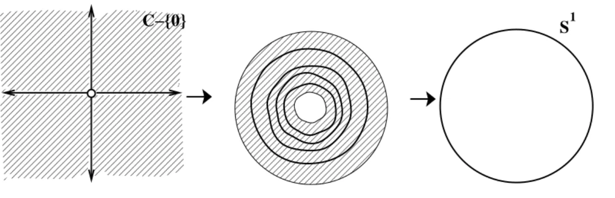 Figura 2.3: Retracto de deformaci´on. Ejemplo 2.2 S 1 es un retracto de deformaci´on de C − {0}.