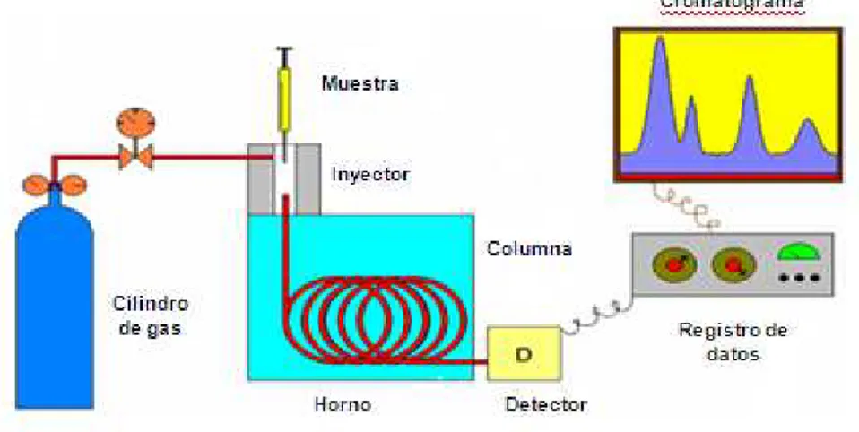 Figura 3. Sistema de cromatografía de gases 