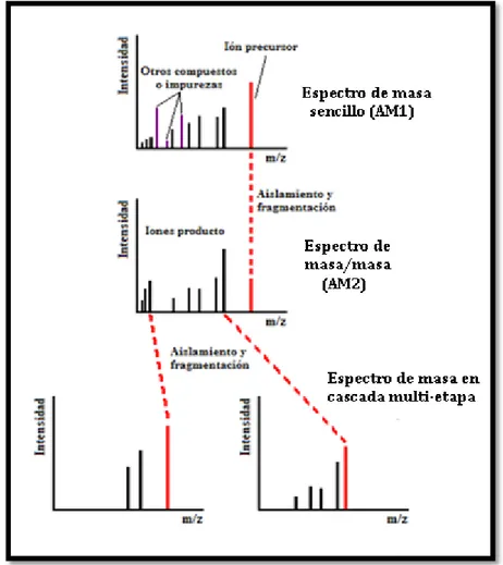 Figura 7. Espectro hipotético de masa en cascada multi-etapa (MS 3 ) 
