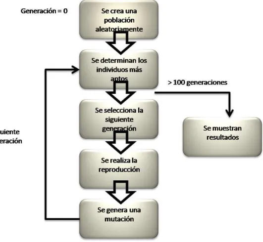 Figura 2 Esquema del funcionamiento de Algoritmo Genético 