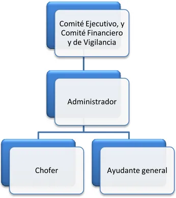 Fig.  14 Organigrama del comité 