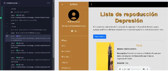 Fig. 16: Ejecución de prueba unitaria 