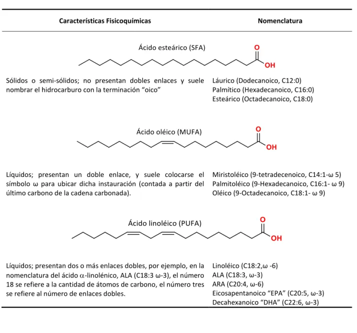 Tabla 4. Características estructurales de los AGs* 