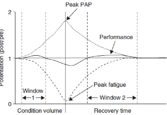 Figure 2. Theoretical relationship between postactivation potentiation and fatigue following a  conditioning activity, from Tillin and Bishop (77)