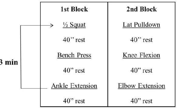 Figure 1. Resistance training protocol for both HRC and PCT. The  exercises performed, the  exercise order, the rest period between exercises and local recovery time were all kept the same  in  both  training  conditions