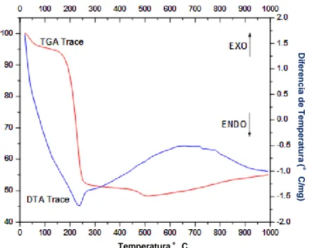 Figura 2. Análisis termo gravimétrico y térmico diferencial para gel seco obtenido  a partir de Nitrato de Calcio y  Fosfato de Amonio